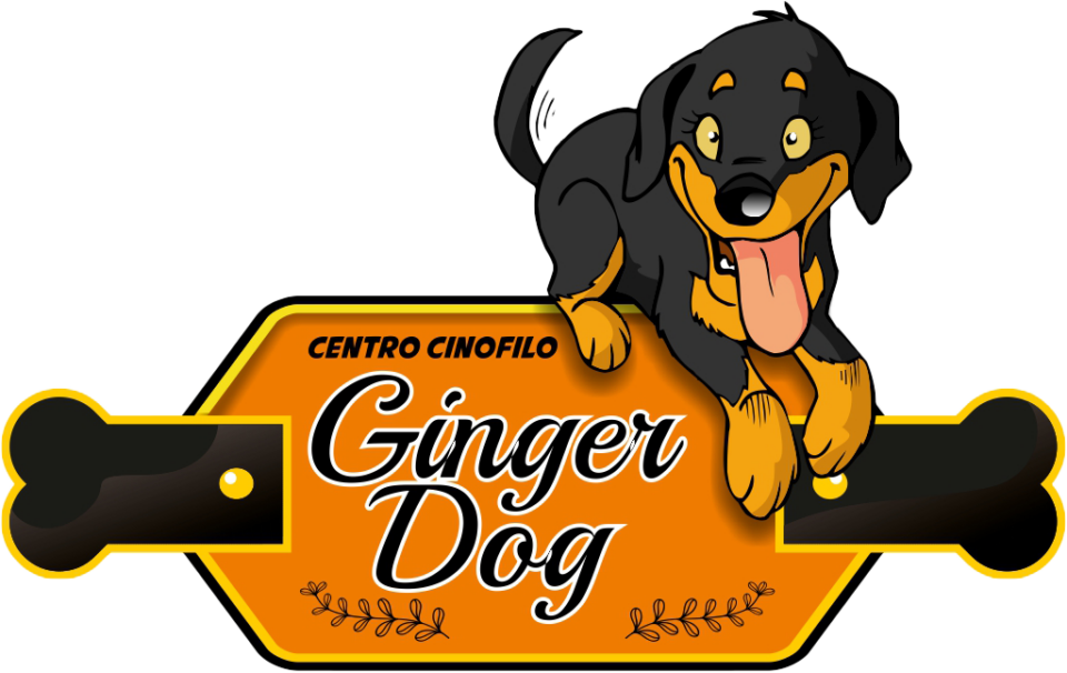 Logo Ginger DOG